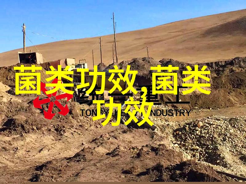 涨知识这样洗香菇才干净