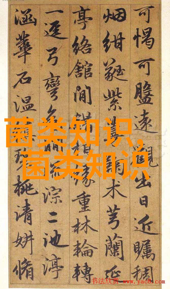 金针菇的加工技术要点