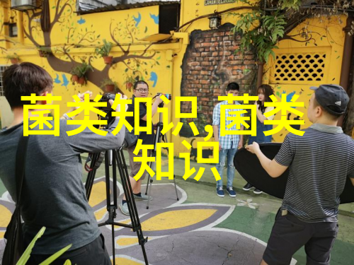 金针菇黑斑病的防治要点