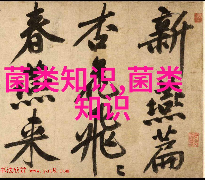 食用菌冬季管理建议及注意事项