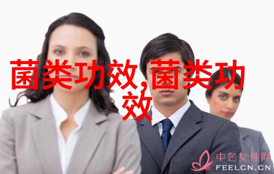 养生新知蘑菇这样吃营养加倍