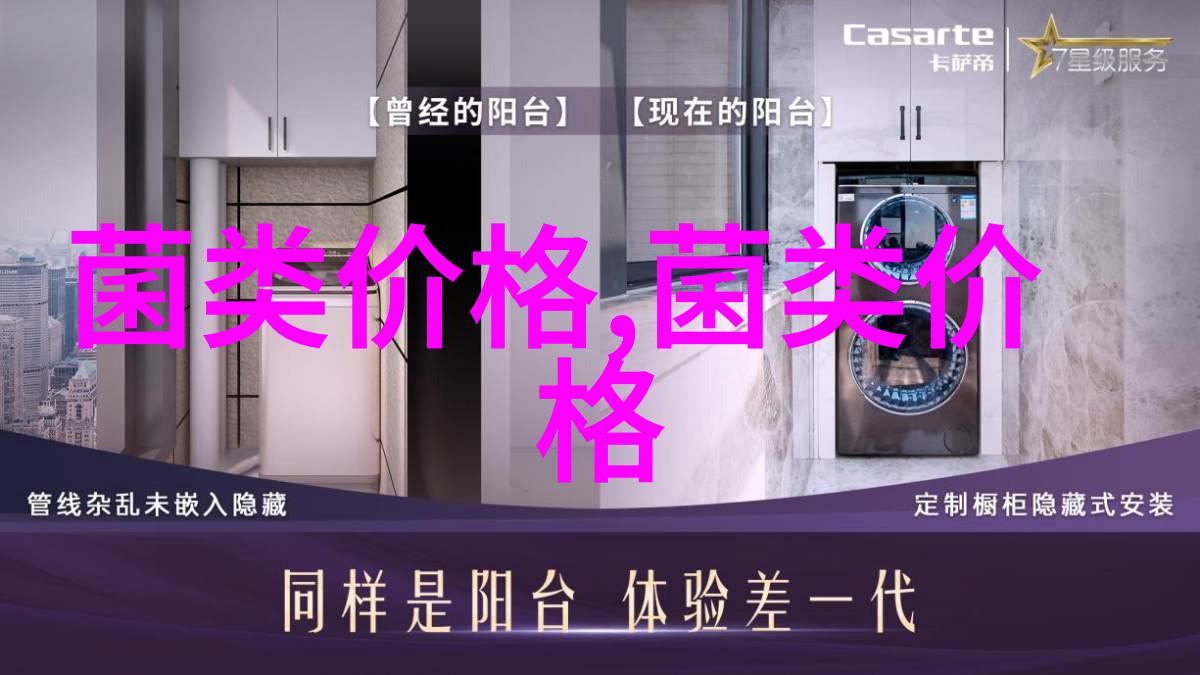 湖南江华河路口镇230多个标准大棚种植黑皮鸡枞菌