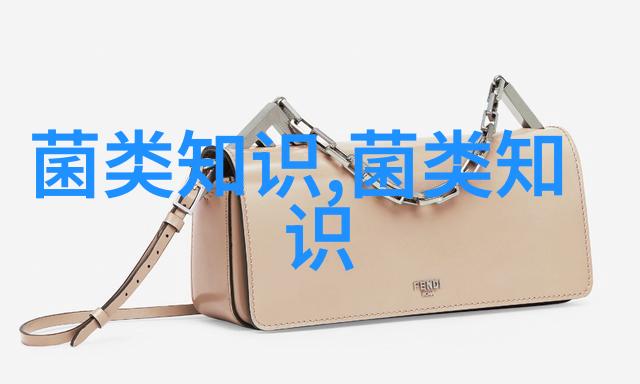 浙江海宁市袁花镇小菌菇撑起绿色发展致富路